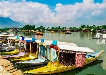 Kashmir
